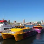 Perché organizzare una vacanza in catamarano